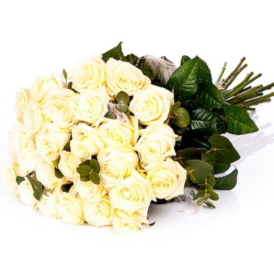 White Roses with feathers