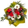 Christmas Carnations mix