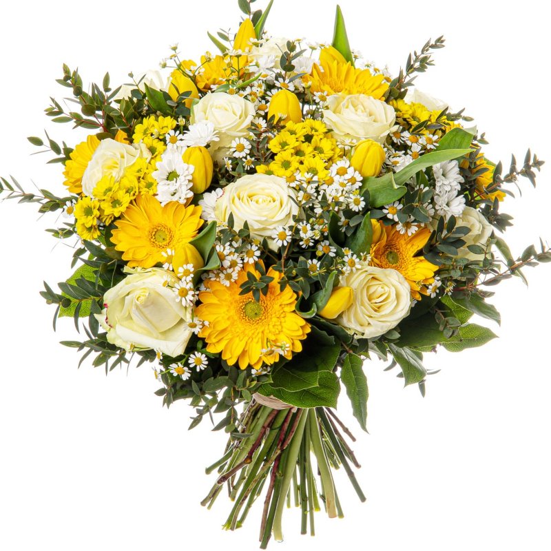 Žluté a bílé překvapení